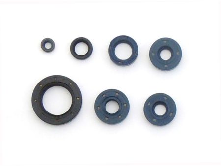 Athena 2000 Bombardier DS 650 Engine Oil Seal Kit Online Hot Sale