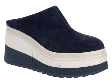 NAKED FEET: COACH in NAVY Platform Clogs For Cheap